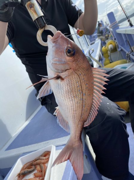 新幸丸 釣果