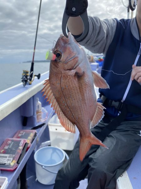新幸丸 釣果