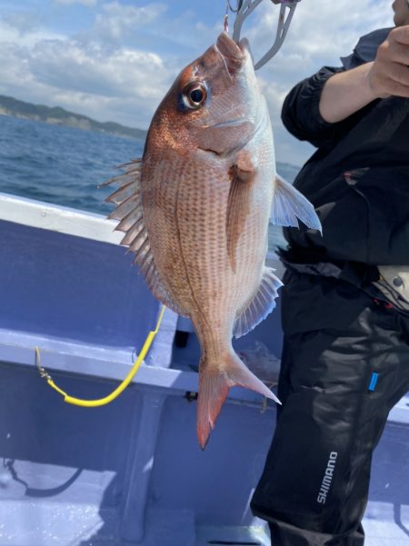 新幸丸 釣果