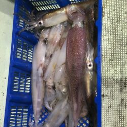 海龍丸（石川） 釣果