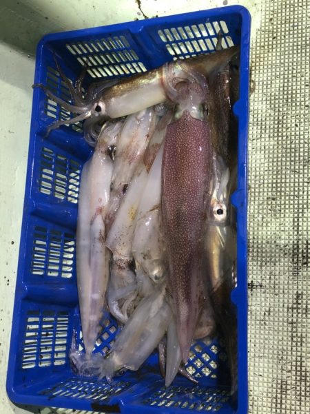 海龍丸（石川） 釣果