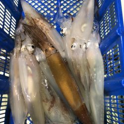 海龍丸（石川） 釣果