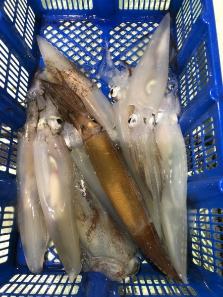 海龍丸（石川） 釣果