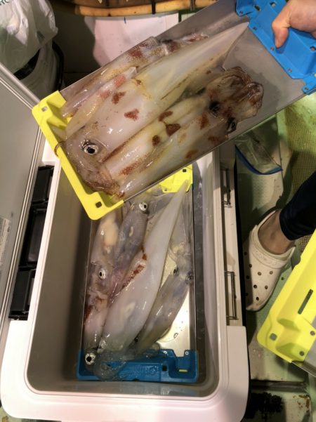 海龍丸（石川） 釣果