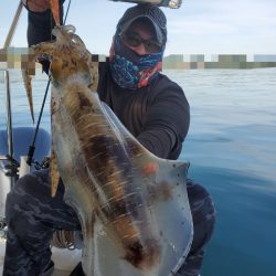 ソルトウォーターガイドフレンズ 釣果