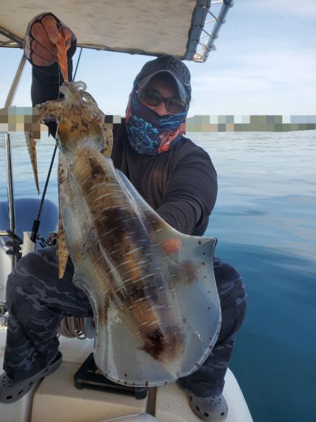 ソルトウォーターガイドフレンズ 釣果