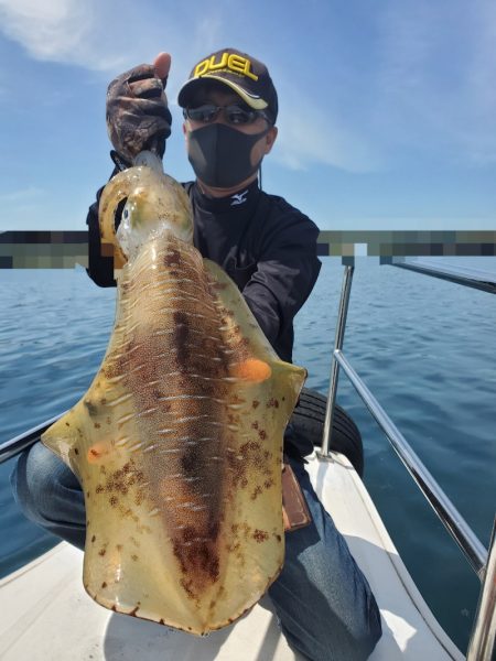 ソルトウォーターガイドフレンズ 釣果