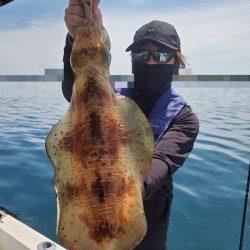 ソルトウォーターガイドフレンズ 釣果