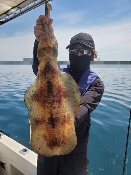 ソルトウォーターガイドフレンズ 釣果