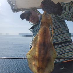 ソルトウォーターガイドフレンズ 釣果