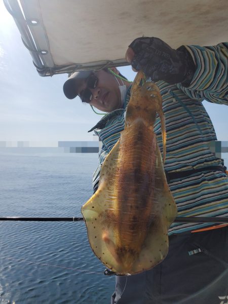 ソルトウォーターガイドフレンズ 釣果