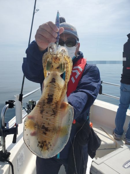 ソルトウォーターガイドフレンズ 釣果