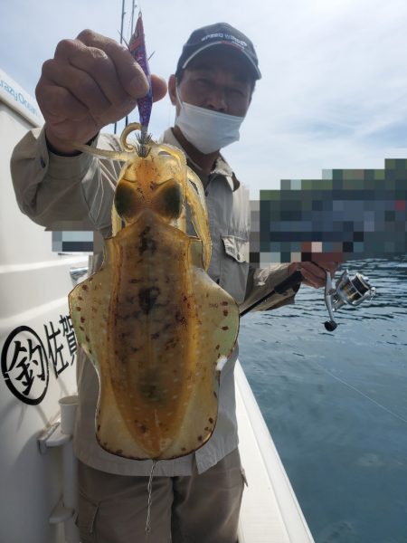 ソルトウォーターガイドフレンズ 釣果