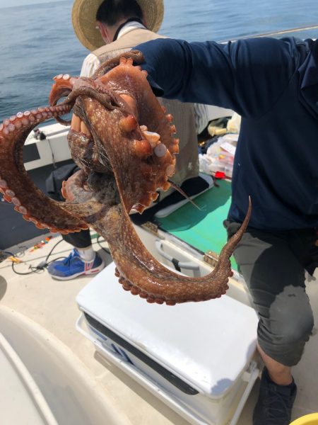 Ｖ−７ West 釣果