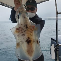 ソルトウォーターガイドフレンズ 釣果