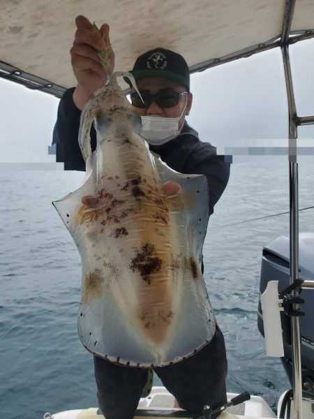 ソルトウォーターガイドフレンズ 釣果