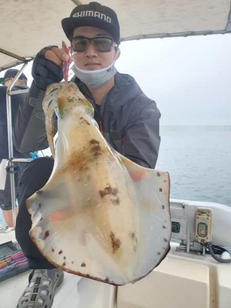 ソルトウォーターガイドフレンズ 釣果