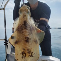ソルトウォーターガイドフレンズ 釣果