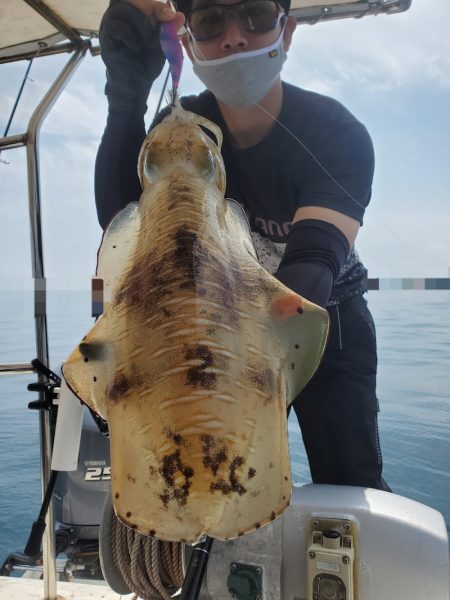 ソルトウォーターガイドフレンズ 釣果