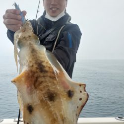 ソルトウォーターガイドフレンズ 釣果