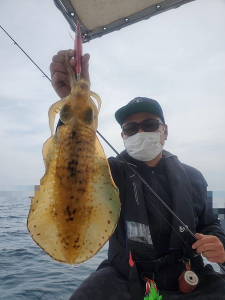 ソルトウォーターガイドフレンズ 釣果