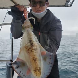 ソルトウォーターガイドフレンズ 釣果