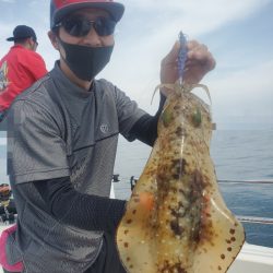 ソルトウォーターガイドフレンズ 釣果