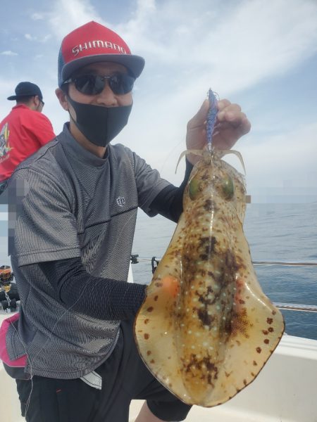 ソルトウォーターガイドフレンズ 釣果