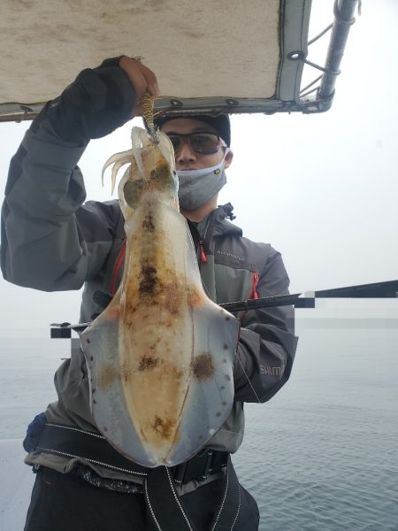 ソルトウォーターガイドフレンズ 釣果