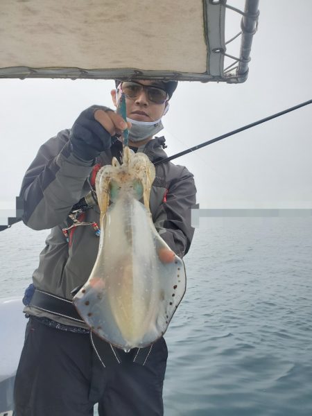 ソルトウォーターガイドフレンズ 釣果