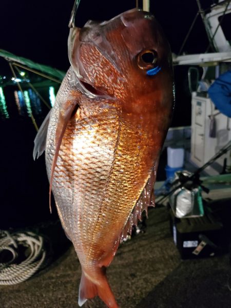 富士丸 釣果