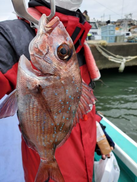 富士丸 釣果