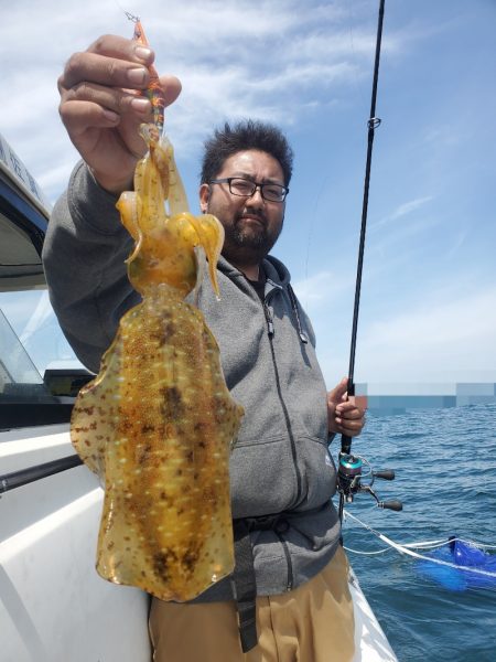 ソルトウォーターガイドフレンズ 釣果