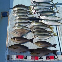 清和丸 釣果