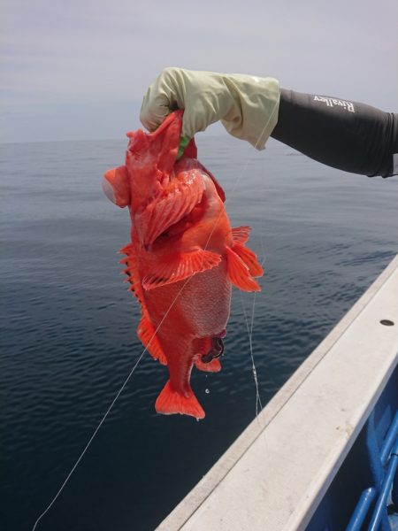 清和丸 釣果