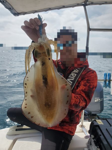 ソルトウォーターガイドフレンズ 釣果