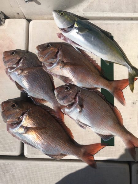 Ｖ−７ West 釣果