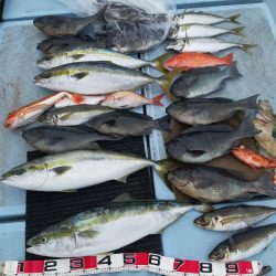清和丸 釣果