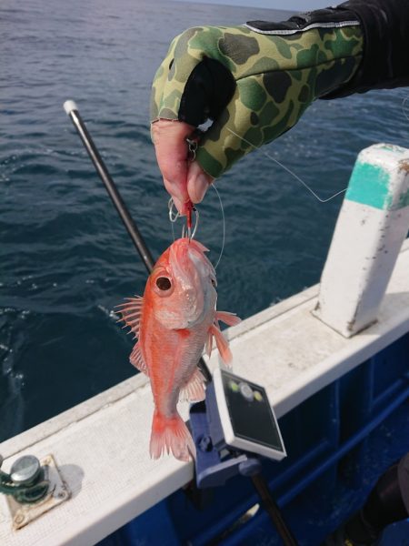 清和丸 釣果