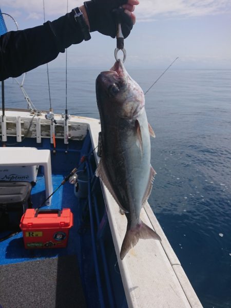 清和丸 釣果