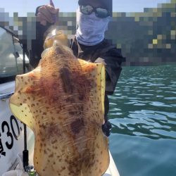 ソルトウォーターガイドフレンズ 釣果