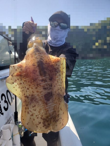 ソルトウォーターガイドフレンズ 釣果