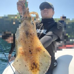 ソルトウォーターガイドフレンズ 釣果