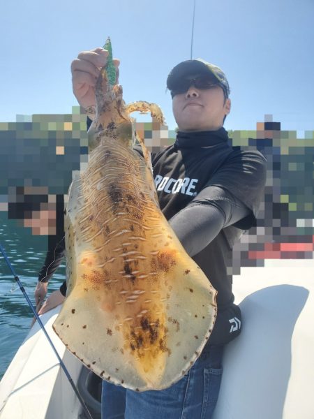 ソルトウォーターガイドフレンズ 釣果