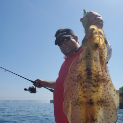 ソルトウォーターガイドフレンズ 釣果