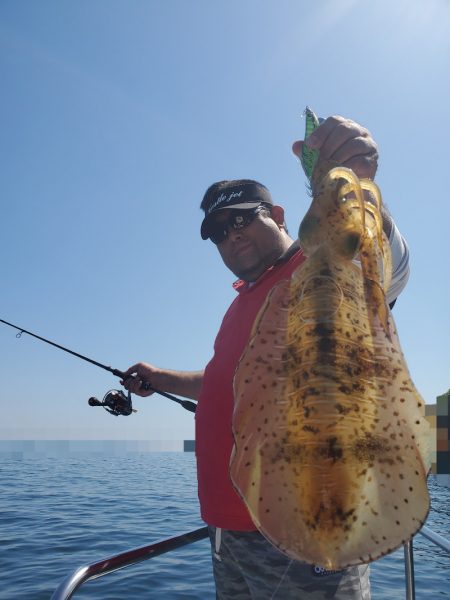 ソルトウォーターガイドフレンズ 釣果