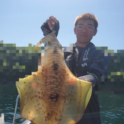 ソルトウォーターガイドフレンズ 釣果