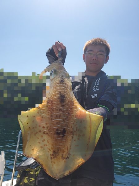 ソルトウォーターガイドフレンズ 釣果