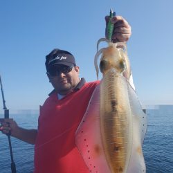 ソルトウォーターガイドフレンズ 釣果