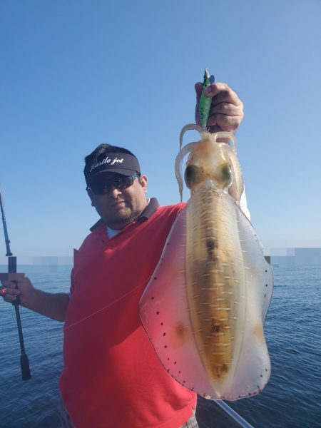 ソルトウォーターガイドフレンズ 釣果